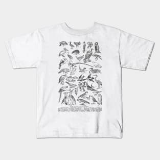 TYPES OF LAND AND WATER BIRDS VINTAGE ILUSTRATION Kids T-Shirt